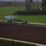 LosAl_Race_0111 (July 26, 2015)